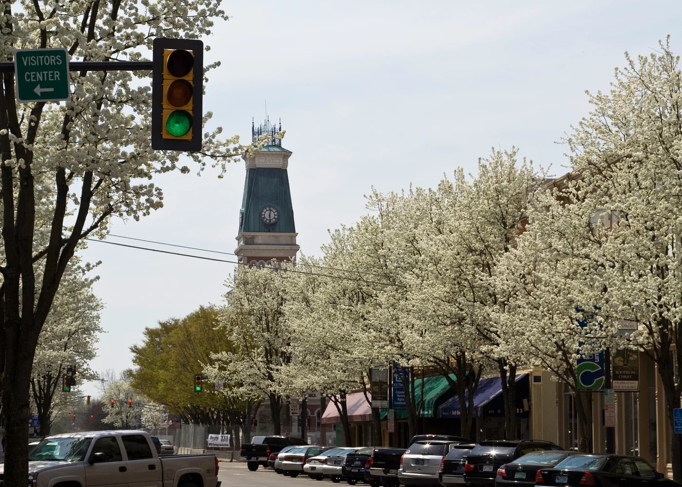 Flowering trees and downtown Columbus storefronts with a courthouse tower in the distance